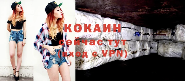 бошки Каменка
