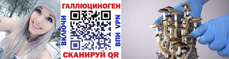 Псилоцибиновые грибы GOLDEN TEACHER  Купить закладки  Георгиевск 